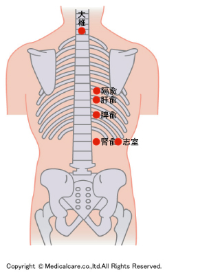 大椎、肝、脾、腎