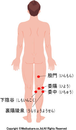 委中、委陽