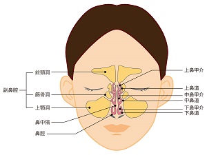 花粉症への鍼灸施術