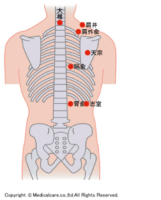 肩井、腎兪