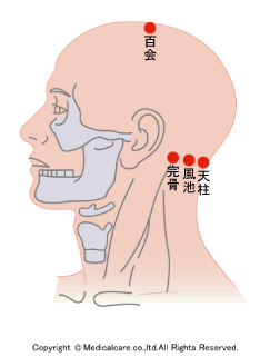 百会、風池、完骨、天柱