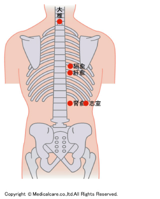 大椎、膈兪、肝兪、腎兪