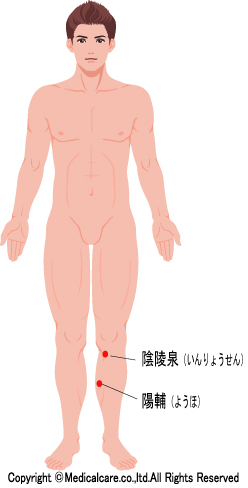 陰陵泉、陽輔