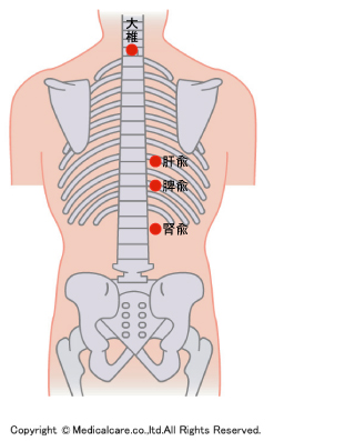 大椎、肝、脾、腎